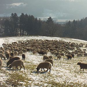 Fotoğraf Hiver nomade