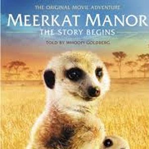 Fotoğraf Meerkat Manor: The Story Begins