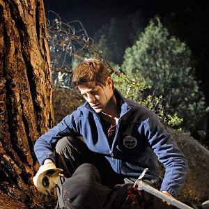 Fotoğraf Luis Fernández (II)