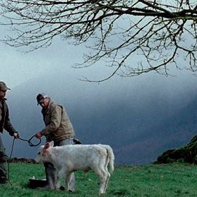 Fotoğraf A Single Shot