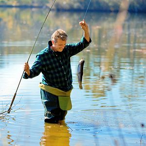 Fotoğraf Aidan Quinn