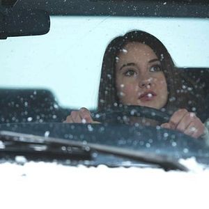 Fotoğraf Karda Bir Beyaz Kuş