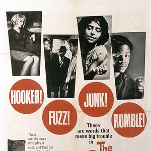 Fotoğraf The Cool World