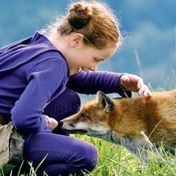 Fotoğraf Arkadaşım Tilki