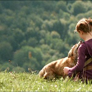 Fotoğraf Arkadaşım Tilki