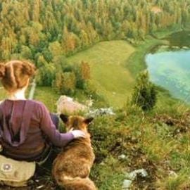 Fotoğraf Arkadaşım Tilki