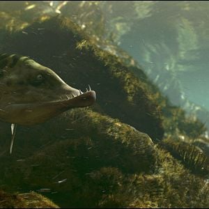 Fotoğraf Kayıp Karıncalar Vadisi