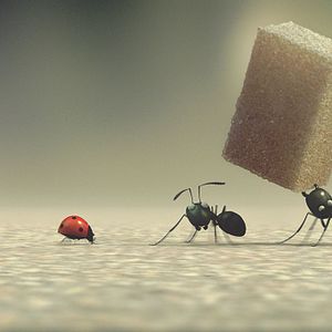 Fotoğraf Kayıp Karıncalar Vadisi