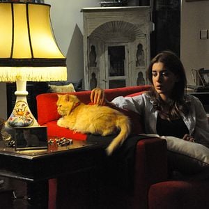 Fotoğraf Kedi Özledi