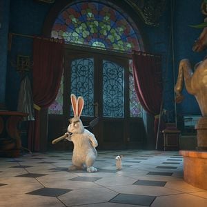 Fotoğraf Büyüler Evi: Sihirbaz Kedi