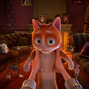 Fotoğraf Büyüler Evi: Sihirbaz Kedi