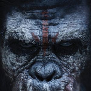 Fotoğraf Maymunlar Cehennemi: Şafak Vakti