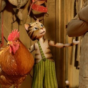 Fotoğraf Fırıldak Kedi Findus