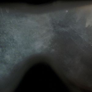 Fotoğraf Godzilla 3D