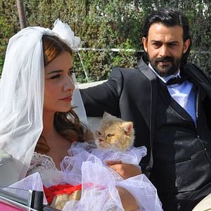 Fotoğraf Kedi Özledi