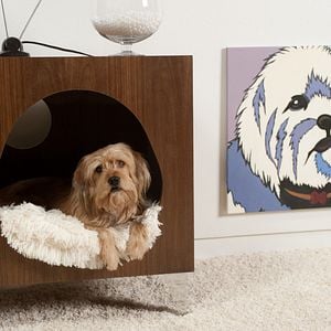 Fotoğraf Çılgın Haber Ekibi