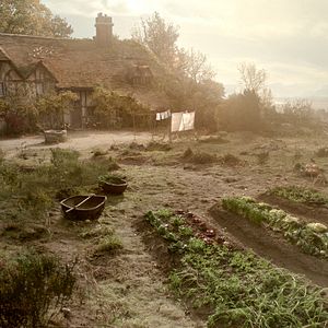 Fotoğraf Güzel ve Çirkin