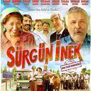 Fotoğraf Sürgün İnek