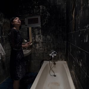 Fotoğraf Sokak Köpekleri