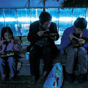 Fotoğraf Sokak Köpekleri