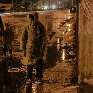 Fotoğraf Sokak Köpekleri