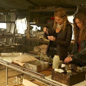 Fotoğraf Stephen Collins