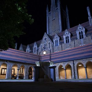 Fotoğraf Vampir Akademisi