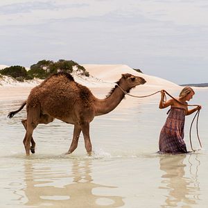 Fotoğraf Çöldeki İzler