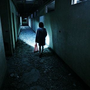 Fotoğraf Sokak Köpekleri