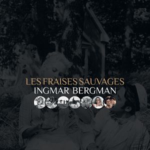 Fotoğraf Yaban Çilekleri