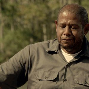 Fotoğraf Forest Whitaker