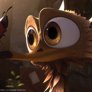 Fotoğraf Minik Kuş