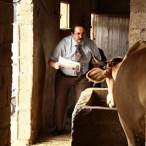 Fotoğraf Sürgün İnek