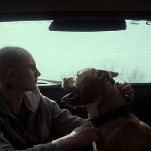 Fotoğraf Köpeğim Killer