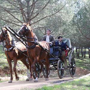 Fotoğraf Çalıkuşu