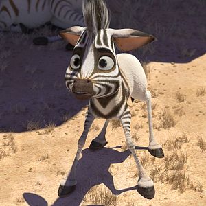 Fotoğraf Cesur Zebra