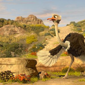 Fotoğraf Cesur Zebra