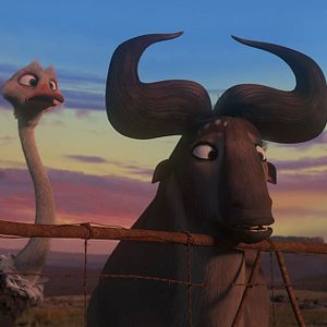 Fotoğraf Cesur Zebra