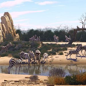 Fotoğraf Cesur Zebra