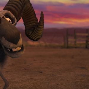 Fotoğraf Cesur Zebra