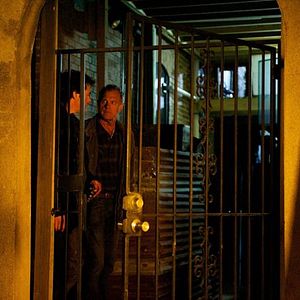 Fotoğraf Stephen Collins