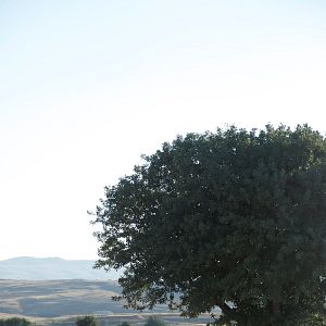 Fotoğraf Bir Varmış Bir Yokmuş