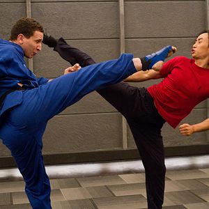 Fotoğraf Man Of Tai Chi