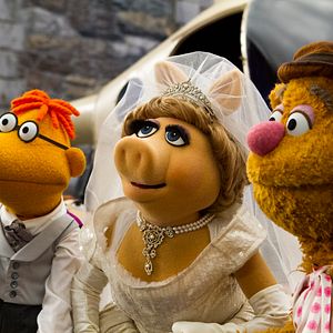 Fotoğraf Muppets Aranıyor