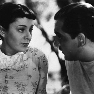 Fotoğraf A Day in the Country