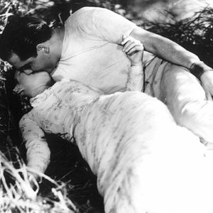 Fotoğraf A Day in the Country