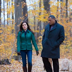 Fotoğraf Caroline Dhavernas