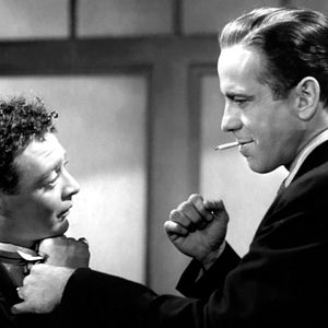 Fotoğraf Malta Şahini