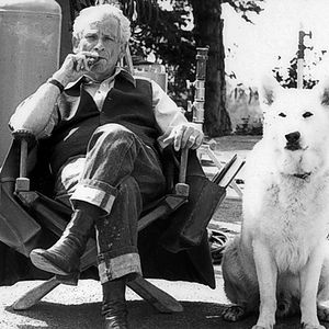 Fotoğraf Beyaz Köpek