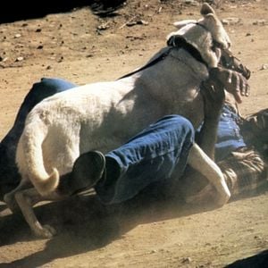 Fotoğraf Paul Winfield